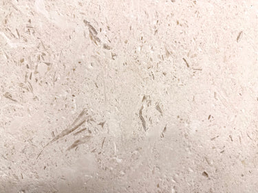 Honed Shell Stone Myra Limestone tile in 24x24 inches, showcasing textured, natural beige limestone surface for flooring or walls.