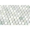 Thassos marble penny round mosaic tile polished