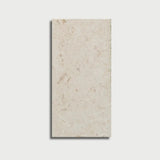 Brushed Shell Stone Myra Limestone 12x24 honed tile for pavers and pool copings, showcasing natural textured surface and neutral tones.