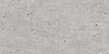 Gray Roca Basel floor tile in 12x24 inch size, rectangular stone-look ceramic tile for modern interior flooring.