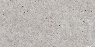 Gray Roca Basel floor tile in 12x24 inch size, rectangular stone-look ceramic tile for modern interior flooring.