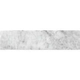 ARTISTIC ETCHED ALLIGATOR CARRARA Bianco Carrara Mosaic Tile.