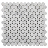 Bianco Carrara Honed Marble Penny Round Mosaic Tile.