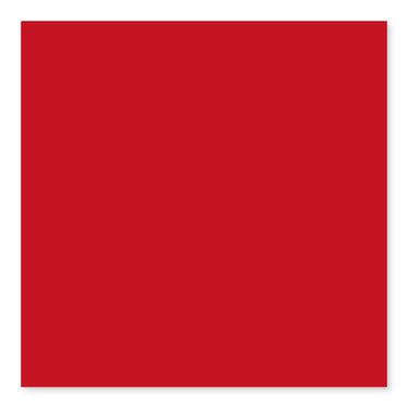 COLOR COLLECTION RED PEPPER 4 1X4X4 1/4 SBN.