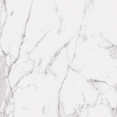 STATUARY WHITE UP 13X13.