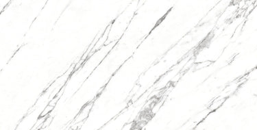 Roca VENATO 12x24-inch floor tile in R Po color, showcasing a modern rectangular ceramic tile for flooring.