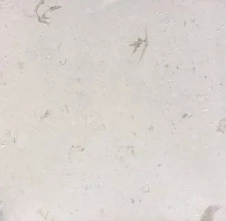 Premium limestone pool coping and pavers in natural stone for swimming pools, patios, walkways, courtyards, and outdoor living spaces.