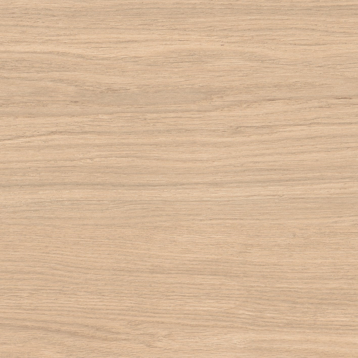 10"x62" Urbano Natural Beech Rectified