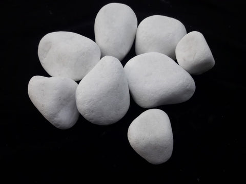 White Rainforest Pebble Stones 1 to 2 inches - 500 LB