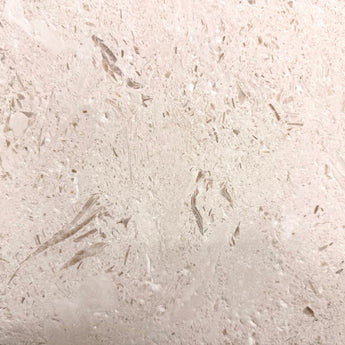Honed Shell Stone Myra Limestone tile in 24x24 inches, showcasing textured, natural beige limestone surface for flooring or walls.