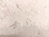 Honed Shell Stone Myra Limestone tile in 24x24 inches, showcasing textured, natural beige limestone surface for flooring or walls.
