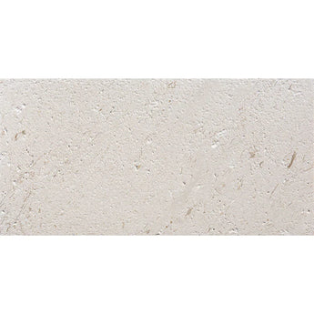 Brushed natural limestone tile in 24x48 inches with shell stone pattern, ideal for modern interior flooring and wall surfaces.