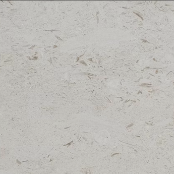 Honed Shell Stone Myra Limestone 12x24 tile for pavers and pool copings, showcasing a smooth, natural limestone surface.