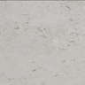 Honed Shell Stone Myra Limestone 12x24 tile for pavers and pool copings, showcasing a smooth, natural limestone surface.