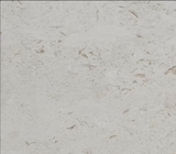 Honed Shell Stone Myra Limestone 12x24 tile for pavers and pool copings, showcasing a smooth, natural limestone surface.