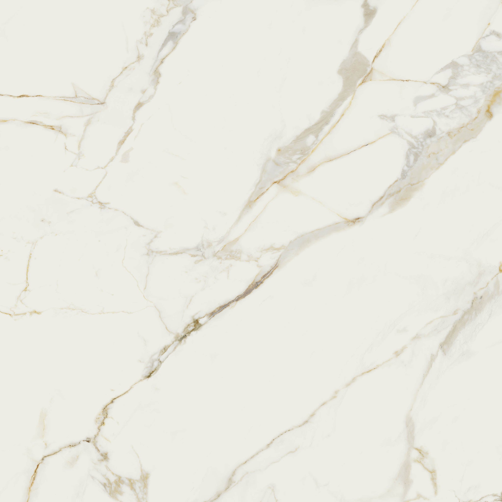 48"x48" Valeria Rectified Polished Porcelain Tile - MosaicBros.com