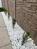 White Rainforest Pebble Stones  2 to 3 inches - 1000 LBS