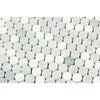 Thassos White Honed Marble Penny Round Mosaic Tile (Carrara + Thassos + Ming Green)