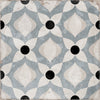 Blue and white patterned porcelain tile flooring featured in a bright residential interior