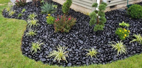 Polished Black Rainforest Pebble Stones 3 to 5 inches - 1500 LBS