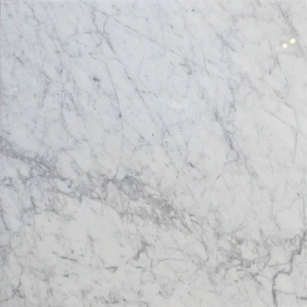 24 x 24 Polished Bianco Carrara Marble Tile