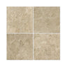 12 x 12 Polished Cappuccino Marble Tile.