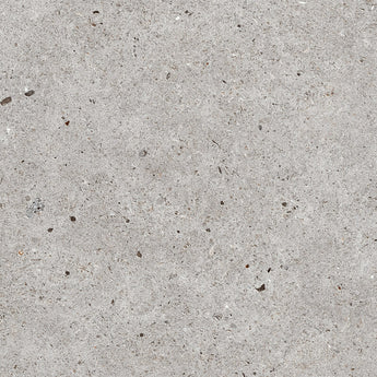 Gray Roca Basel floor tile in 12x24 inch size, rectangular stone-look ceramic tile for modern interior flooring.