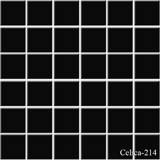 Celica Black  2 x 2  Pool Tile Series - MosaicBros.com