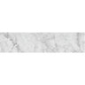 ARTISTIC ETCHED DOTS CARRARA Bianco Carrara Mosaic Tile.