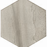 Roca Legend Vison 8x9 hexagon floor tile with a modern geometric pattern in neutral tones.