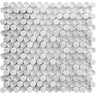 ALASKA GLACIER STONE glass, Bianco Carrara Mosaic Tile.
