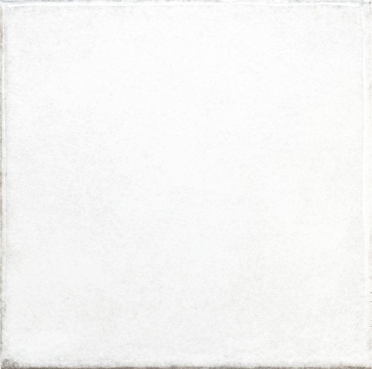 OLARIA WHITE 6x6.