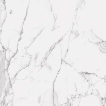 STATUARY WHITE UP 13X13.