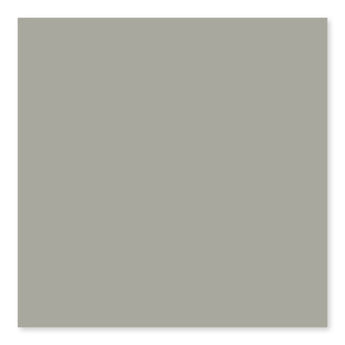 Roca COLOR COLLECTION Taupe 6x6 wall tile in bright taupe color, showing a close-up of textured ceramic surface.