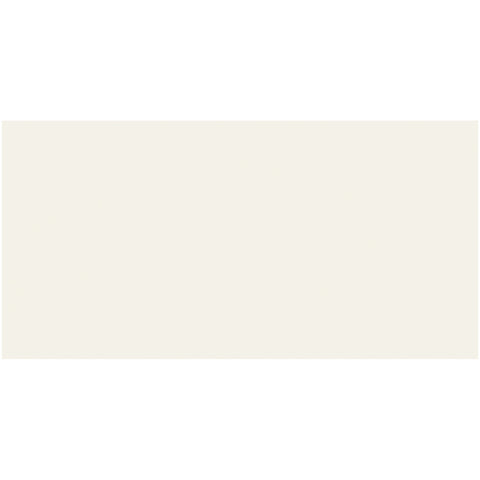 Alpine White Matte 12x24