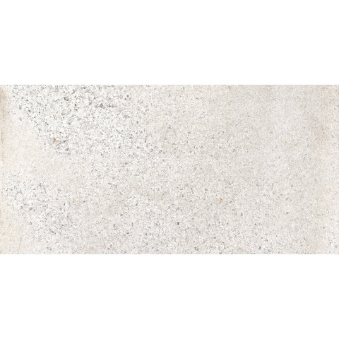 Catania 12x24 Honed Matte