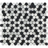 Thassos White Honed Marble Penny Round Mosaic Tile (Thassos + Carrara + Black).