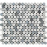 Thassos White Honed Marble Penny Round Mosaic Tile (Carrara + Thassos + Blue-Gray).