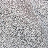 Scalea - Blanco Perla Granite 20 mm