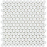 Thassos White Honed Marble Penny Round Mosaic Tile.