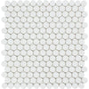Thassos White Honed Marble Penny Round Mosaic Tile.