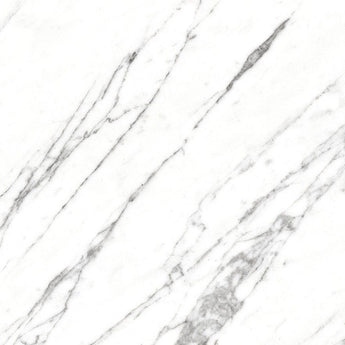 Roca VENATO 12x24-inch floor tile in R Po color, showcasing a modern rectangular ceramic tile for flooring.